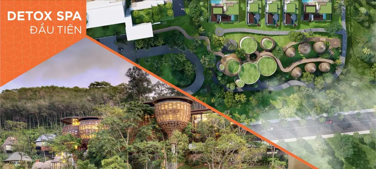 Phối cảnh Forest Hill Retreat Spa