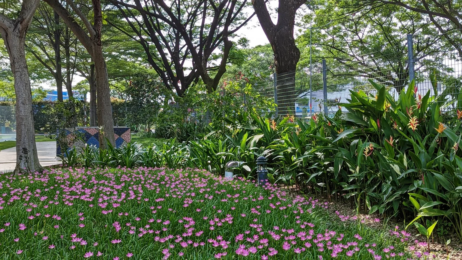 Lối dạo qua vườn hoa EcoXuân Setia Edenia