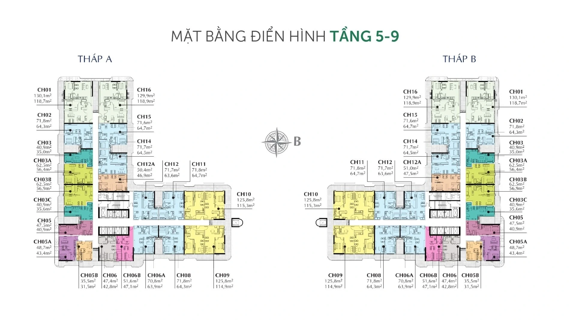Mặt bằng tầng 5–9 Sunshine Horizon