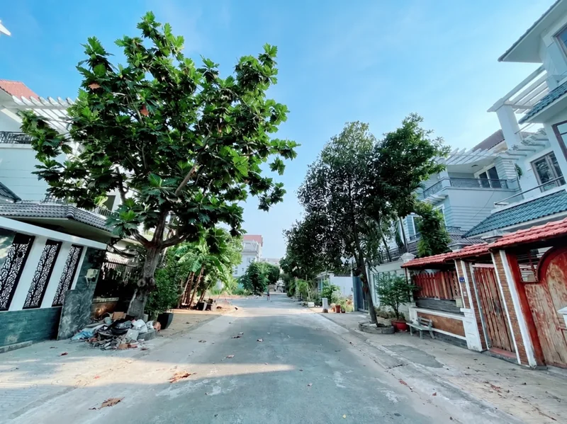 Cây xanh trên tuyến đường khu nhà tại Khu dân cư Khang An