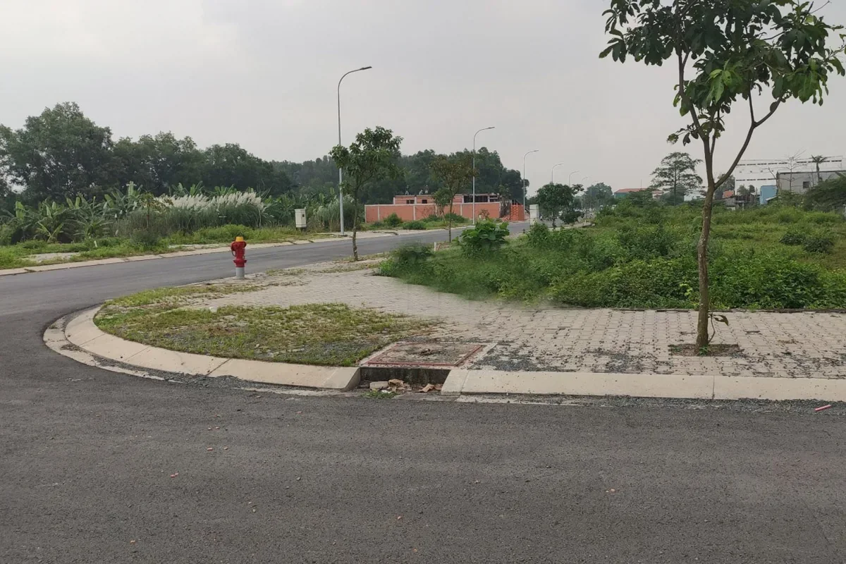 Góc đường và cây xanh Tân Tạo Central Park